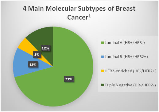 triple-negative-breast-cancer-oncology-nurses-quality-improvement-series