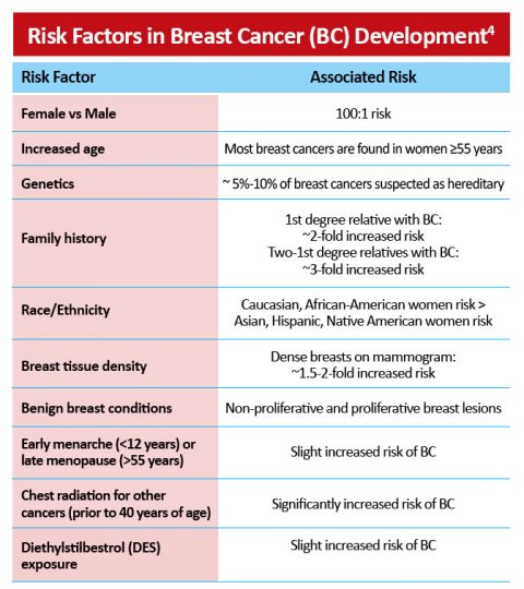 Breast Cancer Pathophysiology Oncology Nurses Quality Improvement Series