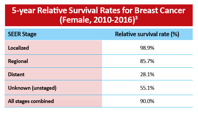 Her2 Negative Breast Cancer Epidemiology Oncology Nurses Quality