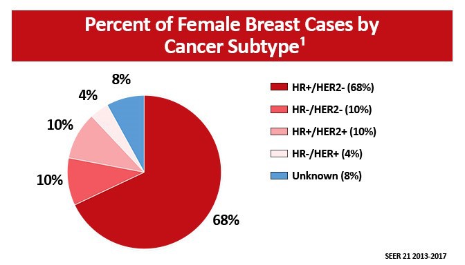 Her2 Positive Breast Cancer Epidemiology Oncology Nurses Quality Improvement Series 9787